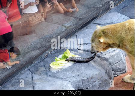 (161222) -- SINGAPUR, 22. Dezember 2016 -- Polar Bär Inuka isst einen Lachs während seiner Geburtstagsfeier im Zoo von Singapur, 22. Dezember 2016. Der Zoo von Singapur veranstaltete am Donnerstag eine Geburtstagsparty für Inuka, den ersten Eisbären, der am 26. Dezember 1990 in den Tropen geboren wurde. (Djj) SINGAPUR-POLARBÄR-GEBURTSTAG ThenxChihxWey PUBLICATIONxNOTxINxCHN Singapur DEZ 22 2016 POLARBÄR Inuka isst einen Lachs während seiner Geburtstagsparty IM Zoo von Singapur DEZ 22 2016 der Singapur Zoo Hero AM Donnerstag eine Geburtstagsparty für Inuka der erste POLARBÄR, der in den Tropen geboren wurde AM DEZ 26 1990 Singapur Polarbär Geburtstag Der Stockfoto