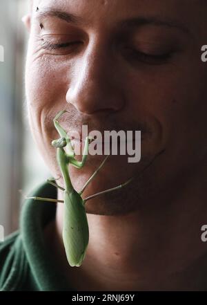 (170103) -- LONDON, 3. Januar 2017 -- Ein Raubmantis landet auf Zookeeper Jamie Mitchells Gesicht während der jährlichen Bestandsaufnahme im ZSL London Zoo im Zentrum von London, Großbritannien, 3. Januar 2017. )(yk) BRITAIN-LONDON-ZSL LONDON ZOO-STOCKTAKE HanxYan PUBLICATIONxNOTxINxCHN London Jan 3 2017 A Preying Mantis landet AUF Tierpfleger Jamie Mitchell S Face während der jährlichen Bestandsaufnahme IM ZSL London Zoo in Central London Großbritannien Jan 3 2017 YK Britain London ZSL London Zoo Zoo HanxYan PUBLICATINxCHN Stockfoto