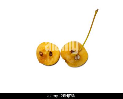 Frühe Apfelsorte. Kleine gelbe Äpfel auf weißem Hintergrund. Sommerfrucht-Isolat. Chinesisches Gold. Obst in zwei Hälften geschnitten Stockfoto