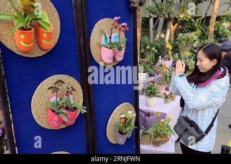 (170123) -- PEKING, 23. Januar 2017 -- Ein Tourist fotografiert Orchideen im Pekinger Botanischen Garten in Peking, Hauptstadt Chinas, 23. Januar 2017. ) (Zyd) CHINA-PEKING-ORCHIDEENAUSSTELLUNG (CN) LixMingfang PUBLICATIONxNOTxINxCHN Peking 23. Januar 2017 ein Tourist fotografiert Orchideen IM Pekinger Botanischen Garten in Peking Hauptstadt Chinas 23. Januar 2017 ZYD China Peking Orchideenausstellung CN LixMingfang PUBLICATIONxNOTxINxCHN Stockfoto