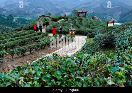 (170131) -- JIAN OU, 31. Januar 2017 -- Touristen besuchen eine Teeplantage während des chinesischen Neujahrsfestes in Houtang Village der Xiaoqiao Township in Jian Ou, südöstliche chinesische Provinz Fujian, 31. Januar 2017. ) (Zyd) CHINA-FUJIAN-LUNAR NEUJAHRSTOURISMUS (CN) ZhangxGuojun PUBLICATIONxNOTxINxCHN Jian Ou Jan 31 2017 Touristen besuchen eine Teeplantage während des chinesischen Lunar Neujahrsferien im Dorf Township in Jian Ou Südostchina S Fujian Province Jan 31 2017 ZYD China Fujian Lunar NOICATNOICATXGuTIOTXJun CN ZhangxBLINN Stockfoto