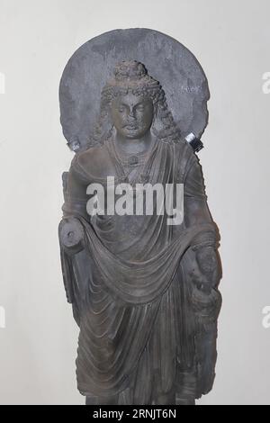 Kolkata, Westbengalen, Indien - 29. August 2023: Lord Buddha Statue im Kolkata Museum im alten Gandhara-Stil (Indo-Greco oder griechisch-buddhistische Kunst) Stockfoto