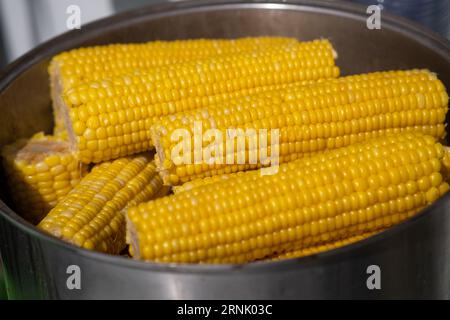 Ein Straßenhändler kocht Mais in einem Topf und verkauft ihn. Stockfoto