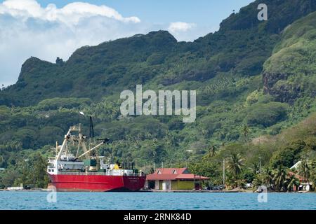 Bora Bora, Französisch-Polynesien. September 2023. Ein Frachtschiff im Hafen von Bora Bora am 1. September 2023 in Französisch-Polynesien. (Bild: © Bryan Smith/ZUMA Press Wire) NUR REDAKTIONELLE VERWENDUNG! Nicht für kommerzielle ZWECKE! Stockfoto