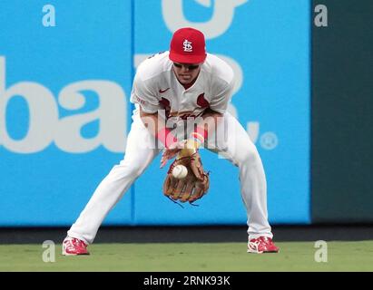 St. Louis, USA. September 2023. St. Louis Cardinals Center Fielder Lars Nootbaar legt den Baseball nach einer Single von Pittsburgh Pirates Bryan Reynolds im ersten Inning im Busch Stadium in St. Louis am Freitag, 1. September 2023. Foto von Bill Greenblatt/UPI Credit: UPI/Alamy Live News Stockfoto