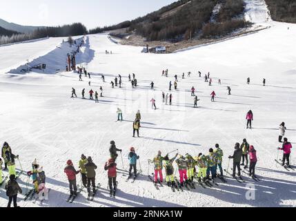 (170316) -- WUHAN, 16. März 2017 -- Foto vom 30. Dezember 2016 zeigt, dass Touristen im Skigebiet Shennongjia in Shennongjia, der zentralchinesischen Provinz Hubei, Ski fahren. Die chinesische Sportindustrie konnte 2016 mit einem soliden und stetigen Entwicklungstempo aufwarten. Das nationale Fitnessprogramm (2016-2020) und der 13. Fünfjahresplan für die Sportindustrie wurden beide 2016 herausgegeben, um eine klare Richtung für Chinas nationale Strategie zur Gewährleistung der öffentlichen Fitness und der Entwicklung der Sportindustrie zu geben. Chinas Allgemeine Sportverwaltung, zusammen mit vielen anderen nationalen depa-Behörden Stockfoto