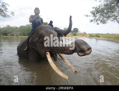 (170321) -- LAMPUNG, 21. März 2017 -- Foto aufgenommen am 20. März 2017 zeigt zwei Mahouts, die Sumatra-Elefanten im Wasserreservoir des Elefantentrainingszentrums im Way Kambas-Nationalpark, Bezirk East Lampung, Provinz Lampung, Indonesien baden. ) (lrz) INDONESIA-LAMPUNG-SUMATRA ELEPHANT AgungxKuncahyaxB. PUBLICATIONxNOTxINxCHN LAMPUNG 21. März 2017 Foto aufgenommen AM 20. März 2017 zeigt zwei Mahouts, die Sumatra-Elefanten im Wasserreservoir DES Elephant Training Center in Way kambas National Park East LAMPUNG Bezirk LAMPUNG Provinz Indonesien lrz Indonesien LAMPUNG Sumatra Elephant AgungxKunca baden Stockfoto