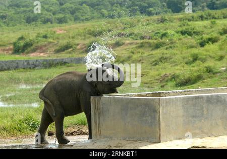 (170321) -- LAMPUNG, 21. März 2017 -- Foto aufgenommen am 20. März 2017 zeigt einen jungen sumatranischen Elefanten, der Wasser im Way Kambas Nationalpark, East Lampung Bezirk, Provinz Lampung, Indonesien spritzt. ) (lrz) INDONESIA-LAMPUNG-SUMATRA ELEPHANT AgungxKuncahyaxB. PUBLICATIONxNOTxINxCHN LAMPUNG 21. März 2017 Foto aufgenommen AM 20. März 2017 zeigt Infant Sumatran Elephant Spying Water in Way kambas National Park East LAMPUNG District LAMPUNG Province Indonesia lrz Indonesia LAMPUNG Sumatran Elephant AgungxKuncahyaxB PUBLICATIONxNOTxINxCHN Stockfoto
