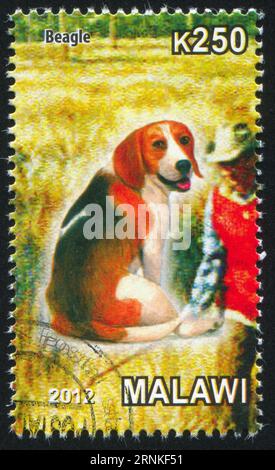 MALAWI - CA. 2012: Stempel von Malawi, zeigt Beagle, ca. 2012 Stockfoto