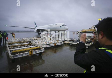 (170328) -- VANCOUVER, 28. März 2017 -- ein Flughafenmitarbeiter fotografiert einen Airbus A350-900 Passagierjet nach seinem ersten Linienflug nach Kanada in Vancouver, Kanada, am 28. März 2017. Ein neuer Airbus A350-900 Passagierjet startete am Dienstag seinen ersten Linienflug nach Kanada und begann mit der Nutzung des Flugzeugs für die Strecke Vancouver-Hong Kong durch Cathay Pacific. KANADA-VANCOUVER-AIRBUS-A350-900-ERSTER LINIENFLUG NACH KANADA LiangxSen PUBLICATIONxNOTxINxCHN Vancouver März 28 2017 zum Flughafenmitarbeiter fotografiert den Airbus A350 900 Passagierjet nach seinem ersten LINIENFLUG Flig Stockfoto