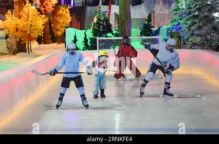 (170329) -- CHANGSHA, 29. März 2017 -- Ein Mädchen spielt Eishockey im Snow Wonder Land in einem Oulet-Einkaufszentrum in Changsha, der Hauptstadt der zentralchinesischen Provinz Hunan, am 25. Februar 2017. Mit dem Vorteil, dass Peking das Angebot zur Austragung der Olympischen Winterspiele 2022 gewonnen hat und die chinesische Regierung 300 Millionen Chinesen für die Teilnahme am Wintersport anstrebt, nehmen die Behörden der Provinz Hunan die Wintersportindustrie immer ernster und setzen sie in den Fünfjahresplan ein (von 2016 bis 2020). Eine Reihe von Sportstätten für die Öffentlichkeit, von denen einige bereits eröffnet wurden, werden derzeit gebaut Stockfoto