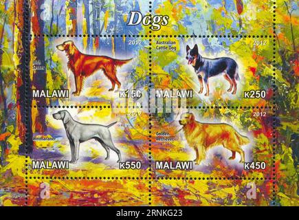 MALAWI - CA. 2012: Stempel von Malawi, zeigt Hunde, ca. 2012 Stockfoto