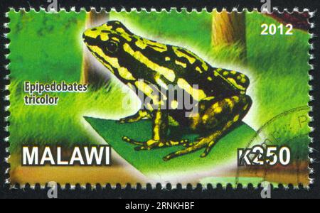 MALAWI - CA. 2012: Stempel von Malawi, zeigt Frog, ca. 2012 Stockfoto