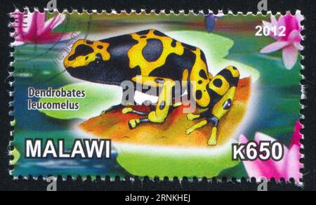 MALAWI - CA. 2012: Stempel von Malawi, zeigt Frog, ca. 2012 Stockfoto