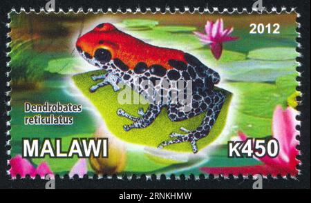 MALAWI - CA. 2012: Stempel von Malawi, zeigt Frog, ca. 2012 Stockfoto