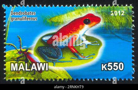 MALAWI - CA. 2012: Stempel von Malawi, zeigt Frog, ca. 2012 Stockfoto