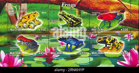 MALAWI - CA. 2012: Stempel von Malawi, zeigt Frog, ca. 2012 Stockfoto