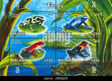 MALAWI - CA. 2012: Stempel von Malawi, zeigt Frog, ca. 2012 Stockfoto