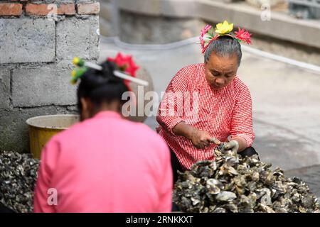 (170410) -- QUANZHOU, 10. April 2017 -- Xunpu-Frauen öffnen Austern im Dorf Xunpu der Stadt Quanzhou in der südöstlichen chinesischen Provinz Fujian, 9. April 2017. Xunpu-Frauen, die mit blumigen Kopfbedeckungen, traditioneller chinesischer Kleidung und Holzsabots ausgestattet sind, sind Symbole für mühsame chinesische Frauen in Quanzhou, einer Hafenstadt, die als Ausgangspunkt der alten maritimen Seidenstraße bekannt ist. ) (lfj) CHINA-FUJIAN-QUANZHOU-XUNPU WOMEN (CN) ShenxHong PUBLICATIONxNOTxINxCHN Quanzhou April 10 2017 Xunpu Women Open Oysters in Xunpu Village of Quanzhou City South East China S Fujian Province April 9 2017 X Stockfoto