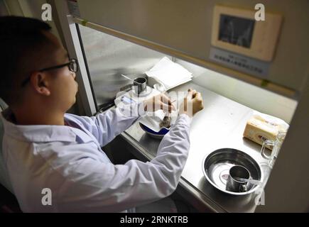 (170419) -- CHENGDU, 19. April 2017 -- Ein Mitarbeiter ernährt einen BabykammIbis in einem Zuchtzentrum der Sichuan Provincial Academy of Natural Resources Sciences in Emeishan, südwestchinesische Provinz Sichuan, 19. April 2017. Am Dienstag und Mittwoch schlüpften zwei Ibis-Küken in einem künstlichen Zuchtzentrum für die gefährdeten Arten in Sichuan, sagten die lokalen Behörden. Die beiden Ibis-Küken mit Kämmen wogen 55,3 g bzw. 51,7 g und waren laut der Öffentlichkeitsabteilung der Stadt Emeishan, Sichuan, in guter Gesundheit. In den letzten drei Jahrzehnten war die Bevölkerung von cres Stockfoto