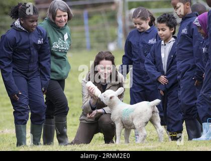 (170503) -- ARLINGHAM, 3. Mai 2017 () -- die britische Herzogin von Cambridge Catherine ernährt ein Lamm während eines Besuchs auf einer Farm, die von der Farms for City Children Charity in Arlingham, nahe Gloucester, Großbritannien, am 3. Mai 2017 betrieben wird. () -UK OUT- BRITAIN-ARLINGHAM-HERZOGIN VON CAMBRIDGE-CHARITY FARM-VISIT Xinhua PUBLICATIONxNOTxINxCHN 3. Mai 2017 Britain S Duchess of Cambridge Catherine füttert ein Lamm während eines Besuchs auf einer Farm, die von der Farms for City Children Charity in der Nähe von Gloucester Großbritannien AM 3. Mai 2017 betrieben wird Besuch des Bauernhofs XINHUA PUBLICATIONxNOTxINxCHN Stockfoto