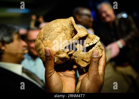 (170509) -- JOHANNESBURG, 9. Mai 2017 -- Eine Nachbildung des Neo-Schädels von Homo naledi wird während der Pressekonferenz im Weltkulturerbe Cradle of Humankind nordwestlich von Johannesburg, Südafrika, am 9. Mai 2017 gezeigt. Wissenschaftler um den südafrikanischen Professor Lee Berger von der University of the Witwatersrand (WITS) gaben hier am Dienstag bekannt, dass das Rising Star Cave System enthüllt hat, dass es eine neue Hominininart namens Homo naledi enthielt, die zwischen 335 und 236 Tausend Jahren lebte. Dies ist das erste Mal, dass nachgewiesen wurde, dass eine andere Homininin-Spezies surv Stockfoto