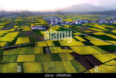 (170510) -- HANZHONG, 10. Mai 2017 -- Foto aufgenommen am 22. März 2017 zeigt die cole-Blumen auf den Feldern im Mianxian County der Stadt Hanzhong in der nordwestlichen chinesischen Provinz Shaanxi. Hanzhong ist die Heimatstadt des alten chinesischen Generals Zhang Qian, der vor etwa 2.100 Jahren eine Handelsstraße eröffnete, die heute als Seidenstraße bekannt ist. (Ry) CHINA-SHAANXI-HANZHONG-LANDSCHAFT (CN) TaoxMing PUBLICATIONxNOTxINxCHN Hanzhong 10. Mai 2017 Foto aufgenommen AM 22. März 2017 zeigt die Cole-Blumen auf den Feldern in der Grafschaft Hanzhong-Stadt Nordwest-China Provinz S Shaanxi Hanzhong IST die Heimatstadt des alten chinesischen Generals Z Stockfoto