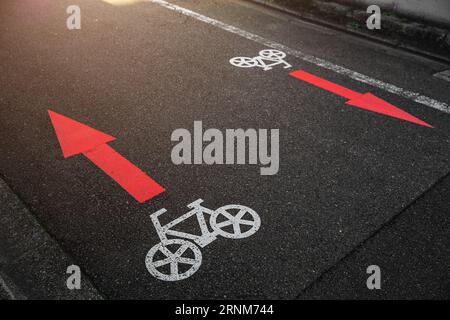 Radweg Zweiwege-Schild Richtung Pfeilsymbol Farbe auf Asphaltstraße in japan City Metro Stockfoto