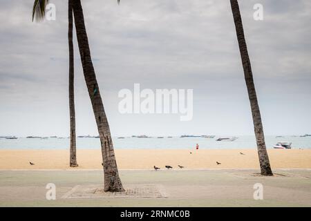 Touristen, Einheimische und Thailänder machen sich auf den Weg entlang der Beach Road in Pattaya Thailand. Stockfoto