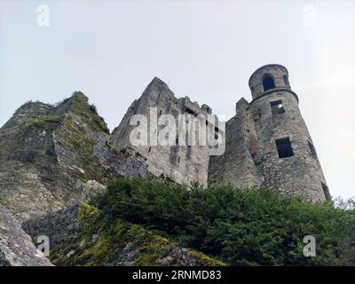 Alte keltische Hausmauer, Blarney Castle in Irland, alte keltische Festung Stockfoto