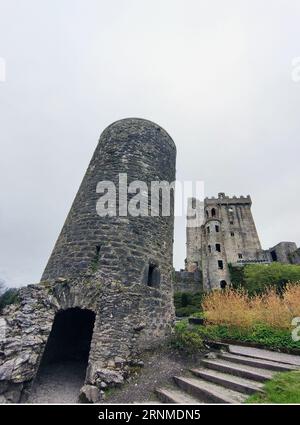 Alte keltische Hausmauer, Blarney Castle in Irland, alte keltische Festung Stockfoto