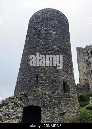 Alter keltischer Turm, Blarney Castle in Irland, alter architektonischer Hintergrund Stockfoto