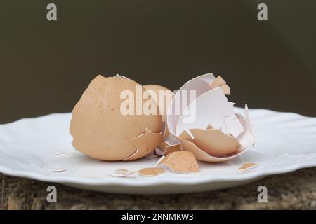 Zerkleinerte Eierschale auf der Platte, cn wird als kalziumhaltiger und mineralreicher Zusatzstoff für Wildvögel- und Hühnerfutter, Gartendünger, verwendet, um die Th zu verbessern Stockfoto