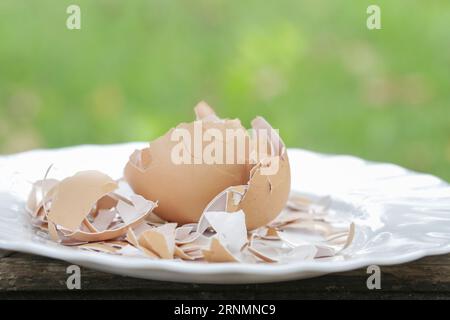 Zerkleinerte Eierschale auf der Platte, cn wird als kalziumhaltiger und mineralreicher Zusatzstoff für Wildvögel- und Hühnerfutter, Gartendünger, verwendet, um die Th zu verbessern Stockfoto