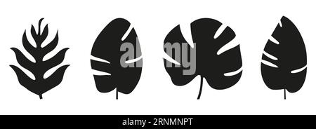 Silhouetten von Palmblättern isoliert auf weißem Hintergrund. Schwarzes Laub. Vektorillustration Stock Vektor