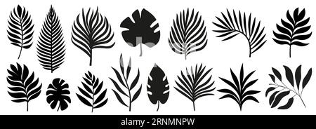 Silhouetten von Palmblättern isoliert auf weißem Hintergrund. Schwarzes Laub. Vektorillustration Stock Vektor