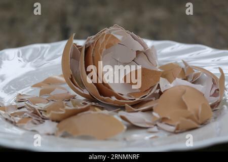 Zerkleinerte Eierschale auf der Platte, cn wird als kalziumhaltiger und mineralreicher Zusatzstoff für Wildvögel- und Hühnerfutter, Gartendünger, verwendet, um die Th zu verbessern Stockfoto