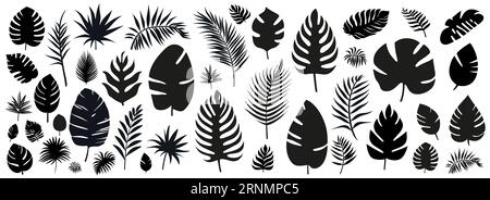 Silhouetten von Palmblättern isoliert auf weißem Hintergrund. Schwarzes Laub. Vektorillustration Stock Vektor