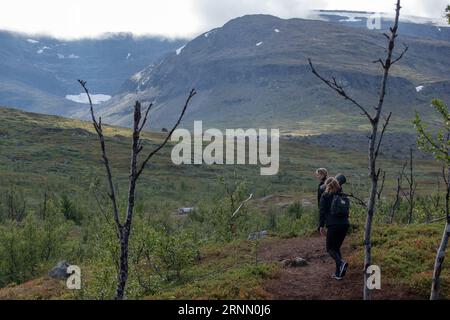 Wanderweg zum Trollsjon-See im schwedischen lappland am frühen Morgen. Der See ist ein beliebtes Reiseziel in Schweden mit einem nicht so häufigen n Stockfoto