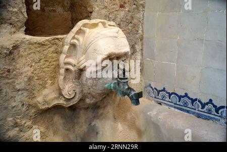 Geschnitzt in Stein Löwenkopf Wasserhahn in der Küche des Klosters Alcobaca, Alcobaca, Portugal Stockfoto