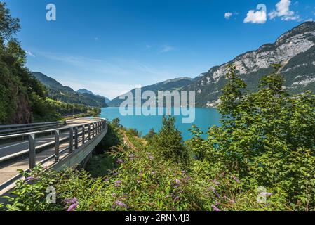 Panoramablick auf den Walensee (Walensee) mit Panoramastraße, Quarten, Kanton St. Gallen, Schweiz Stockfoto