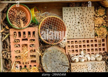 Nahaufnahme eines Insektenhotels, Insektenhotel, Insektenheim, Kanton Thurgau, Schweiz Stockfoto