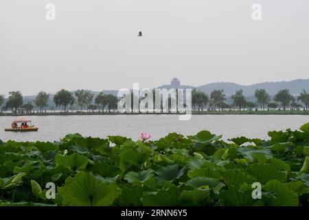 (170628) -- HANGZHOU, 28. Juni 2017 -- Menschen genießen die Landschaft der Lotusblumen im Westsee von Hangzhou, der Hauptstadt der ostchinesischen Provinz Zhejiang, 28. Juni 2017. Lotusblumen haben hier ihre beste Jahreszeit erreicht und die Blütezeit wird bis Anfang September dauern. )(wjq) CHINA-ZHEJIANG-HANGZHOU-LOTUS SAISON (CN) HuangxZongzhi PUBLICATIONxNOTxINxCHN Hangzhou Juni 28 2017 Prominente genießen die Landschaft der Lotus Blumen im WESTSEE von Hangzhou Hauptstadt von Ostchina S Zhejiang Provinz Juni 28 2017 Lotus Blumen hier in ihre beste Zeit des Jahres und die Blumen Stockfoto