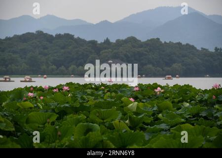 (170628) -- HANGZHOU, 28. Juni 2017 -- Menschen genießen die Landschaft der Lotusblumen im Westsee von Hangzhou, der Hauptstadt der ostchinesischen Provinz Zhejiang, 28. Juni 2017. Lotusblumen haben hier ihre beste Jahreszeit erreicht und die Blütezeit wird bis Anfang September dauern. )(wjq) CHINA-ZHEJIANG-HANGZHOU-LOTUS SAISON (CN) HuangxZongzhi PUBLICATIONxNOTxINxCHN Hangzhou Juni 28 2017 Prominente genießen die Landschaft der Lotus Blumen im WESTSEE von Hangzhou Hauptstadt von Ostchina S Zhejiang Provinz Juni 28 2017 Lotus Blumen hier in ihre beste Zeit des Jahres und die Blumen Stockfoto