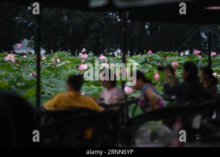 (170628) -- HANGZHOU, 28. Juni 2017 -- Menschen genießen die Landschaft der Lotusblumen im Westsee von Hangzhou, der Hauptstadt der ostchinesischen Provinz Zhejiang, 28. Juni 2017. Lotusblumen haben hier ihre beste Jahreszeit erreicht und die Blütezeit wird bis Anfang September dauern. )(wjq) CHINA-ZHEJIANG-HANGZHOU-LOTUS SAISON (CN) HuangxZongzhi PUBLICATIONxNOTxINxCHN Hangzhou Juni 28 2017 Prominente genießen die Landschaft der Lotus Blumen im WESTSEE von Hangzhou Hauptstadt von Ostchina S Zhejiang Provinz Juni 28 2017 Lotus Blumen hier in ihre beste Zeit des Jahres und die Blumen Stockfoto