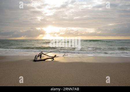 Wunderschöner Blick auf das Meer und den leeren Strand bei Sonnenuntergang. Sea Sand Sky Konzept. Stockfoto
