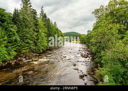 Grüne Berglandschaft mit einem Fluss, der zwischen hohen Bäumen in den schottischen Highlands fließt. Stockfoto