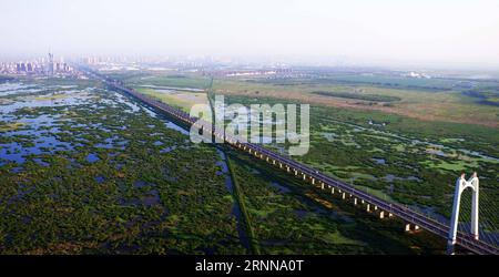 (170704) -- DAQING, 4. Juli 2017 -- Foto aufgenommen am 4. Juli 2017 zeigt die Landschaft des Longfeng-Feuchtgebietes in der Stadt Daqing, nordöstliche chinesische Provinz Heilongjiang. ) (Ry) CHINA-HEILONGJIANG-DAQING-LANDSCHAFT (CN) WangxKai PUBLICATIONxNOTxINxCHN Daqing 4. Juli 2017 Foto aufgenommen AM 4. Juli 2017 zeigt die Landschaft des Long Feng Wetland Nature Reserve in Daqing City Nordostchina S Heilongjiang Provinz Ry China Heilongjiang Daqing Landschaft CN WangxKai PUBLATINxCHN Stockfoto