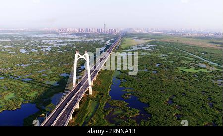 (170704) -- DAQING, 4. Juli 2017 -- Foto aufgenommen am 4. Juli 2017 zeigt die Landschaft des Longfeng-Feuchtgebietes in der Stadt Daqing, nordöstliche chinesische Provinz Heilongjiang. ) (Ry) CHINA-HEILONGJIANG-DAQING-LANDSCHAFT (CN) WangxKai PUBLICATIONxNOTxINxCHN Daqing 4. Juli 2017 Foto aufgenommen AM 4. Juli 2017 zeigt die Landschaft des Long Feng Wetland Nature Reserve in Daqing City Nordostchina S Heilongjiang Provinz Ry China Heilongjiang Daqing Landschaft CN WangxKai PUBLATINxCHN Stockfoto