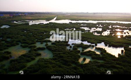 (170704) -- DAQING, 4. Juli 2017 -- Luftaufnahme vom 4. Juli 2017 zeigt die Landschaft des Longfeng-Feuchtgebietes in der Stadt Daqing, nordöstliche chinesische Provinz Heilongjiang. ) (Ry) CHINA-HEILONGJIANG-DAQING-LANDSCHAFT (CN) WangxKai PUBLICATIONxNOTxINxCHN Daqing 4. Juli 2017 Luftaufnahme aufgenommen AM 4. Juli 2017 zeigt die Landschaft des Long Feng Wetland Naturschutzgebiets in der Stadt Daqing Nordostchina S Heilongjiang Provinz Ry China Heilongjiang Daqing Landschaft CN WangxKai PUNOBLATINxCHNxCHN Stockfoto